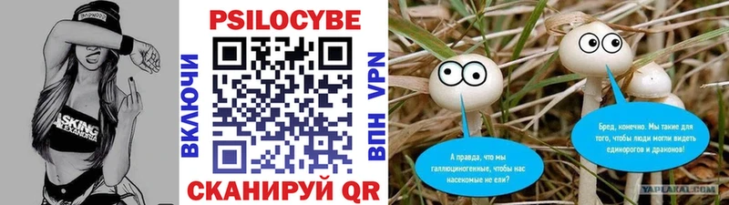 Псилоцибиновые грибы Psilocybe  купить закладку  Каргополь 