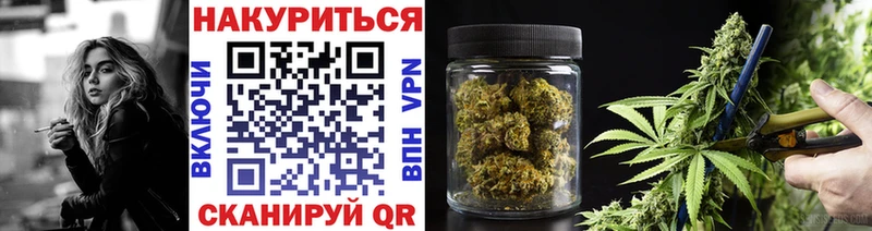 Канабис OG Kush  Каргополь 